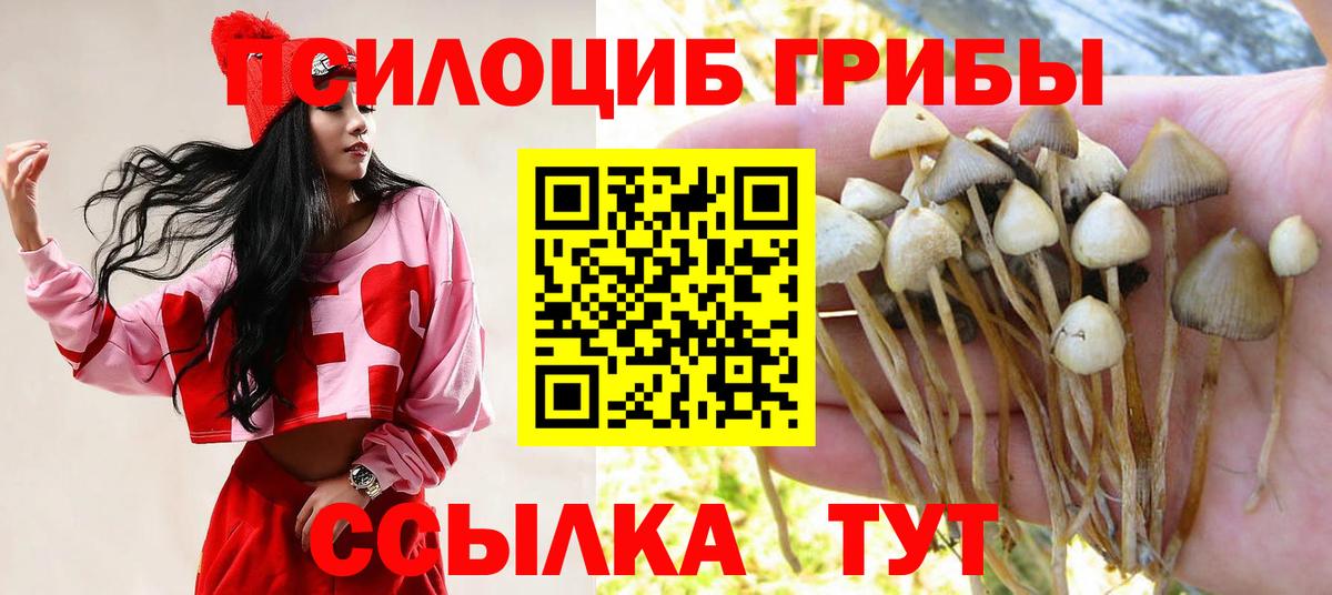Псилоцибиновые грибы Cubensis Похвистнево