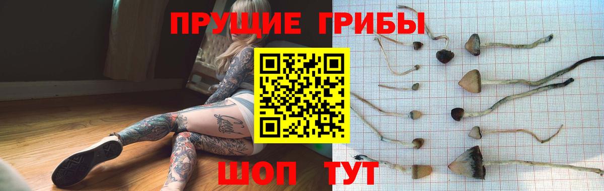 Похвистнево  Галлюциногенные грибы GOLDEN TEACHER  Вход с VPN 
